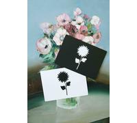 Observe Edition - Le Mondy des P tits artistes : 20 cartes constratées Noir et Blanc