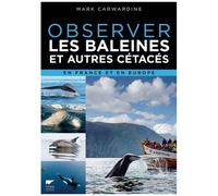 Observer Les Baleines Et Autres Cétacés En France Et En Europe