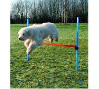Trixie Obstacle de saut 123 x 115 cm en plastique