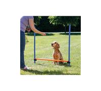 Obstacle Agility pour chien 123 × 115 cm, ø 3 cm - - TR-3207