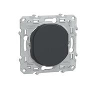 - Obturateur appareillage encastré - anthracite - Ovalis - Schneider