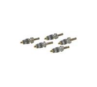 Obus valve expansion (X 5) - DIFF pour Chaffoteaux : 60036472