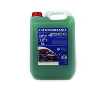 OCC MOTORSPORT VERT ANTIGEL 30% -16ºC 5 LITRES