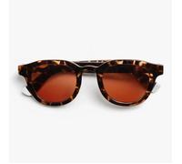 Occhiali Da Sole Barner Andy Glossy Sun Tortoise, Casa , Idee Regalo Multicolore
