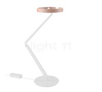 Occhio Gioia Equilibrio Lampe de bureau LED tête dorée mate/corps blanc mat