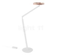 Occhio Gioia Lettura Lampe de lecture LED tête dorée mate/corps blanc mat