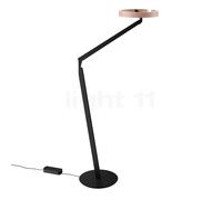 Occhio Gioia Lettura Lampe de lecture LED tête dorée mate/corps noir mat
