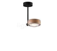 Occhio Sento Faro 20 Up E Plafonnier LED tête doré mat/corps noir mat/cache-piton noir mat - 2.700 K Ce luminaire comporte des modules à LED prémontés de classes énergétiques A A