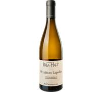 Occultum Lapidem Blanc 2021 - Domaine de Bila Haut - M. Chapoutier