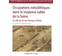 Occupations Mésolithiques Dans La Moyenne Vallée De La Seine - Le Site De La Rue Farman À Paris