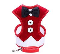 Occupiedpet Ensemble harnais et laisse pour chien, gilet respirant avec nœud papillon décoratif, tissu confortable pour les races moyennes et grandes (taille M)