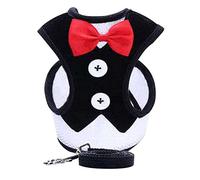 Occupiedpet Ensemble harnais et laisse pour chien - Gilet respirant avec nœud papillon décoratif - Tissu confortable - Pour races de taille moyenne et grande - (L)