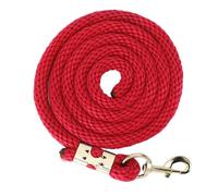 Occupiedpet Horse Lunge Line, 6.56ft Thick PP Strap with Stainless Steel Hook, Versatile Equestrian Gear for Horse Walking Handling and Daily Management (Red)