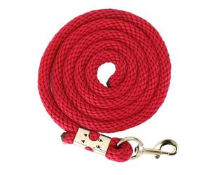 Occupiedpet Horse Lunge Line, 6.56ft Thick PP Strap with Stainless Steel Hook, Versatile Equestrian Gear for Horse Walking Handling and Daily Management (Red)