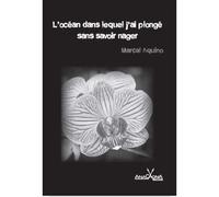 L'océan dans lequel j'ai plongé sans savoir nager