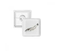 Ocean Fish Fresh White PBT Keycaps pour clavier mécanique Blanc OEM sans marquage R1 multicolore