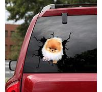 Ocean Gift Lot de 2 autocollants muraux pour voiture de Poméranie - Série 15 - Taille 30,5 x 30,5 cm