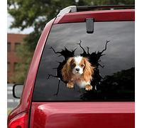 Ocean Gift Lot de 2 autocollants muraux pour voiture - Motif Cavalier King Charles Spaniel - Série 11 - Dimensions : 20,3 x 20,3 cm