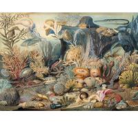 Ocean Life 1000 Piece Jigsaw Puzzle