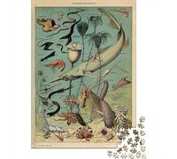 Ocean Life Puzzle Adulte De 1000 Pièces, 70x50cm/1000pcs; Pièces Blanches Faciles À Trier; À Savourer Seul Ou en Bonne Compagnie