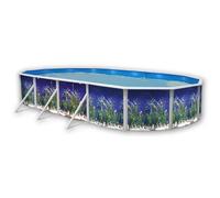 OCEAN Piscine hors sol ovale en acier 730 x 366 x 120 cm (Kit complet piscine, Filtre, Skimmer et échelle)