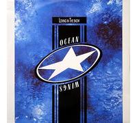 Ocean Wings - Loving In The Snow [Vinyl Maxi-Single]