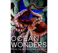 Ocean Wonders: Inside the Monterey Bay Aquarium
