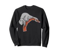 Océanie - Australie - Nouvelle-Zélande - Animaux - Possum Sweatshirt