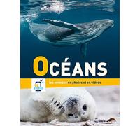 Océans : Les animaux dans leur habitat naturel en photos et en vidéos