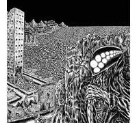 Océans of the Moon