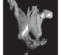 Oceansize – Self Preserved While The Bodies Float Up – Vinyle 3LP – 15e anniversaire