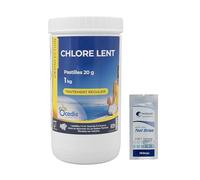 OCEDIS Chlore Lent Pastilles 20g - 1kg | Chlore Lent Stabilisé - Désinfection Régulière - Dissolution Lente + 10 Tests HPS OFFERTS 6 en 1
