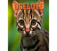 Ocelote: La guía esencial de este increíble animal con fotos increíbles