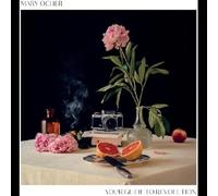 Ocher, Mary - Your Guide to Revolution