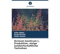 Ocimum basilicum L. Produktion, einige landwirtschaftliche Techniken
