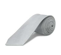 OcioDual Cravate Argent Homme, Cravate Homme Costume, Classique et Élégante, Idéale pour les Costume, les Événements, Cravates Hommes, les Mariages, les Fêtes, les Hommes D'affaires