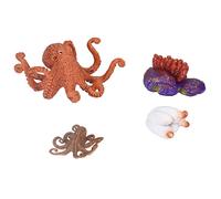 Octopus Growth Cycle Model - Realist Marine Animal Life Life Stage Educational Touet pour Les Enfants de Plus de 3 Ans, des projets Scolaires et de la décoration intérieure