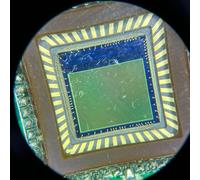 Oculaire de microscope stéréo WF10X/20/22 WF20X/10/12 30 mm Interface large champ optique lentille en verre boîtier en métal pièce de rechange (WF10X/22)