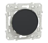 Odace - Obturateur - anthracite - fixation par vis - SCHNEIDER ELECTRIC - S540666