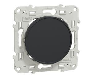 Odace - Obturateur - anthracite - fixation par vis - SCHNEIDER ELECTRIC - S540666