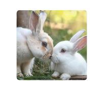 ODAWA Rabbits Love Kiss Film de protection en tissu autocollant pliable pour objectif d'appareil photo 45 x 45 cm