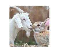 ODAWA Tissu autocollant 35,1 x 35,1 cm chèvre lapin s'embrassant drôle appareil photo sac cosmétique portable pour voyage