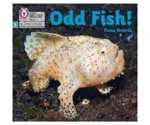 Odd Fish by Fiona Undrill Fiona Undrill (Auteur)