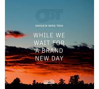 Oddgeir Berg Trio - While We Wait for a Brand New Day [Import]