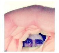 Odditties Sodomies Vol. 2