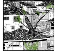 Odds And Ends Vinyle