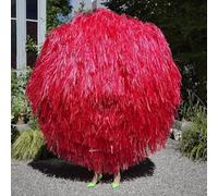 Stephan Eicher – Ode – Vinyle 12" Rouge