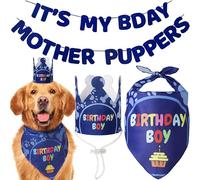 Odi Style Fournitures de fête d'anniversaire pour Chien - Bandana d'anniversaire pour Chien - Bandana pour Chiens de Taille Moyenne et Grande - Chapeau de fête, Couronne et bannière d'anniversaire