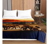 Odot Couvre Lit Boutis Matelassé Moderne Imprimé pour Deux Personnes Dessus de Lits Microfibre Doux Couverture de Lit Courtepointe l'hiver Léger Literie (220x240cm,Animal)