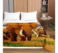 Odot Couvre Lit Boutis Matelassé Moderne Imprimé pour Deux Personnes Dessus de Lits Microfibre Doux Couverture de Lit Courtepointe l'hiver Léger Literie (220x240cm,éléphant Brun)